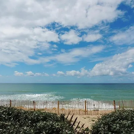 Joli T3 Avec Terrasse Et Jardin Privatif Classe 1 Etoile 公寓 比斯卡罗斯